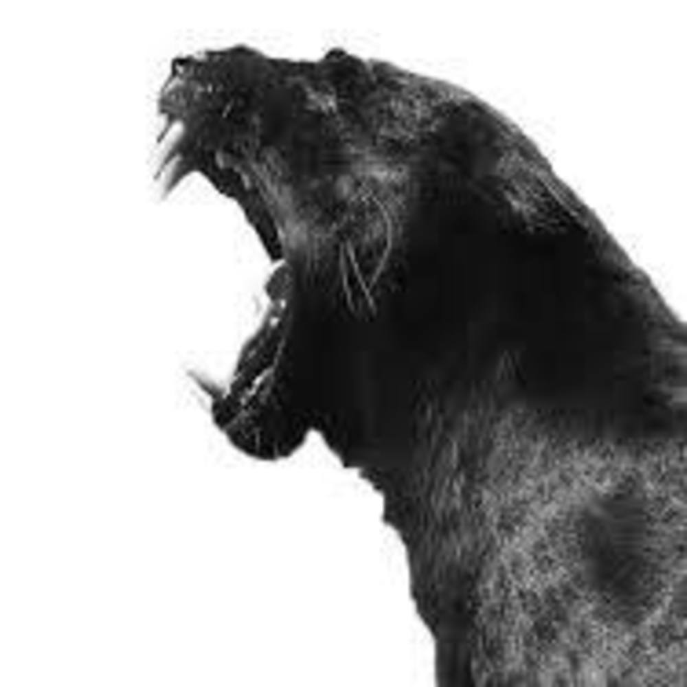 Meet your Posher, Johnathan